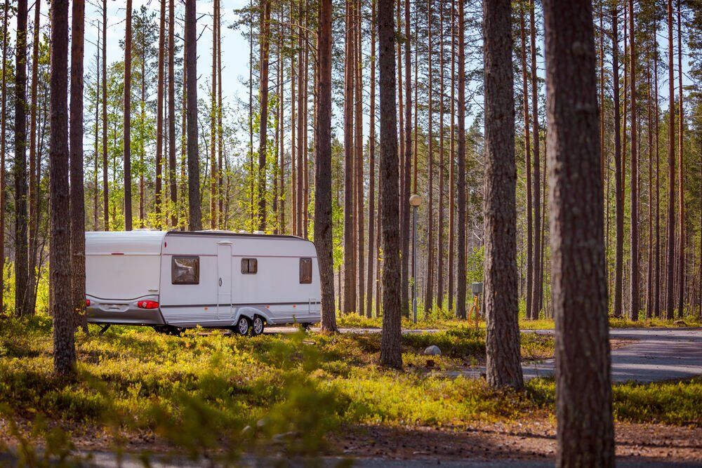 The Most Popular National Forests for RVs